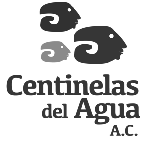 CDA-logo1-300x297
