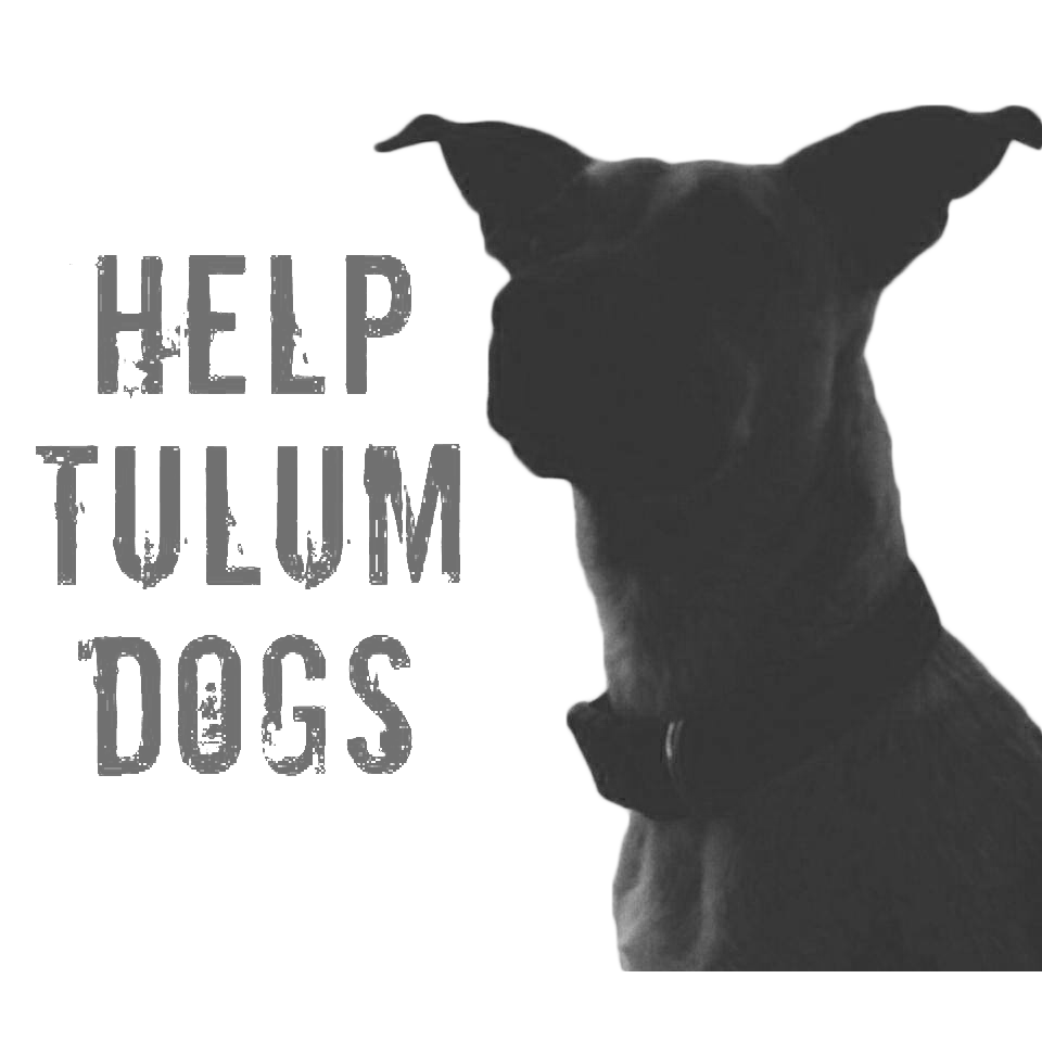 HELP TULUM DOGS-1 logo